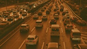 photo 1755787990401 0855b7931e00