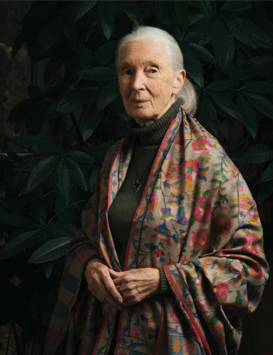 screenshot 2025 10 02 175626